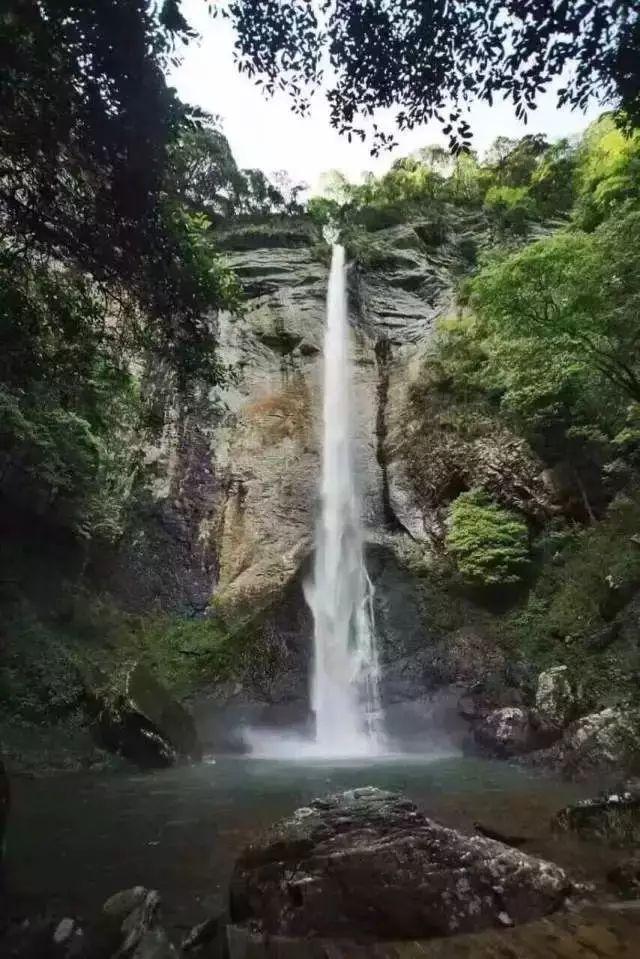 假红薯粉条是用化学物质，硫磺、白矾和墨汁做的，要怎么分辨呢？